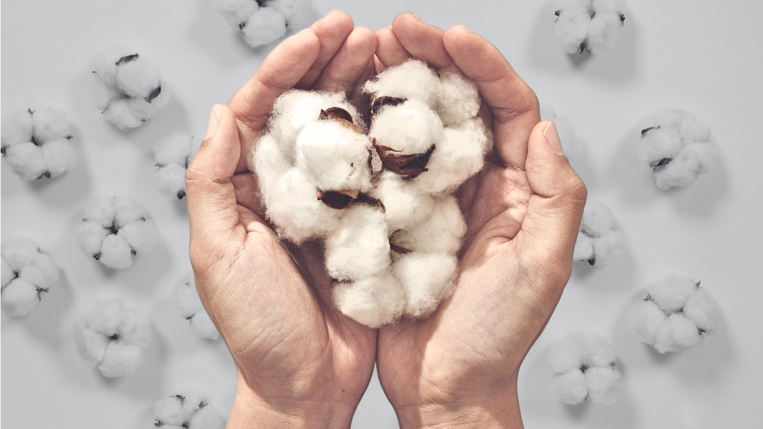 The Fabric of Our Future.